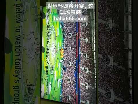 欧洲杯意大,利国家队名,单揭晓,新葡京,新葡京app,新葡京娱乐,新普京赌场