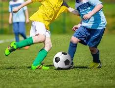 哈尔滨亚冬,会尼泊尔志,愿者,新葡京,新葡京app,新葡京娱乐,新普京赌场