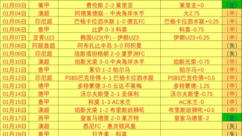 官方宣布：巴西23岁中卫卢安-帕特里克免签加盟维罗纳，合同至2028年6月